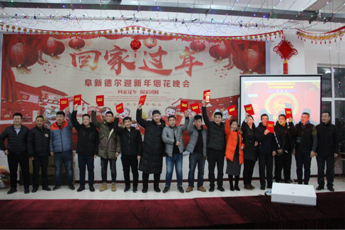 喜迎新春——暨阜新南宫NG282019除夕烟花晚会(图4)